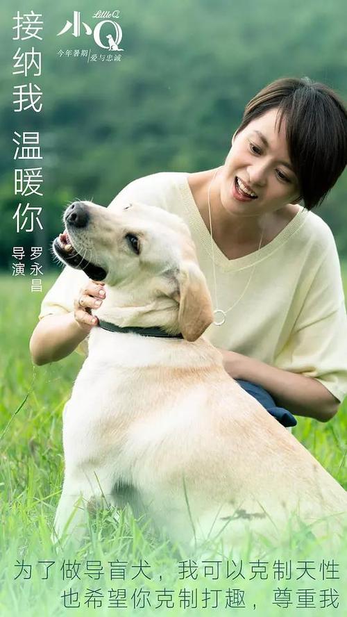 莫尔艺术与设计学院文凭毕业证买个多少钱